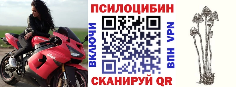 Галлюциногенные грибы мицелий Каменск-Шахтинский