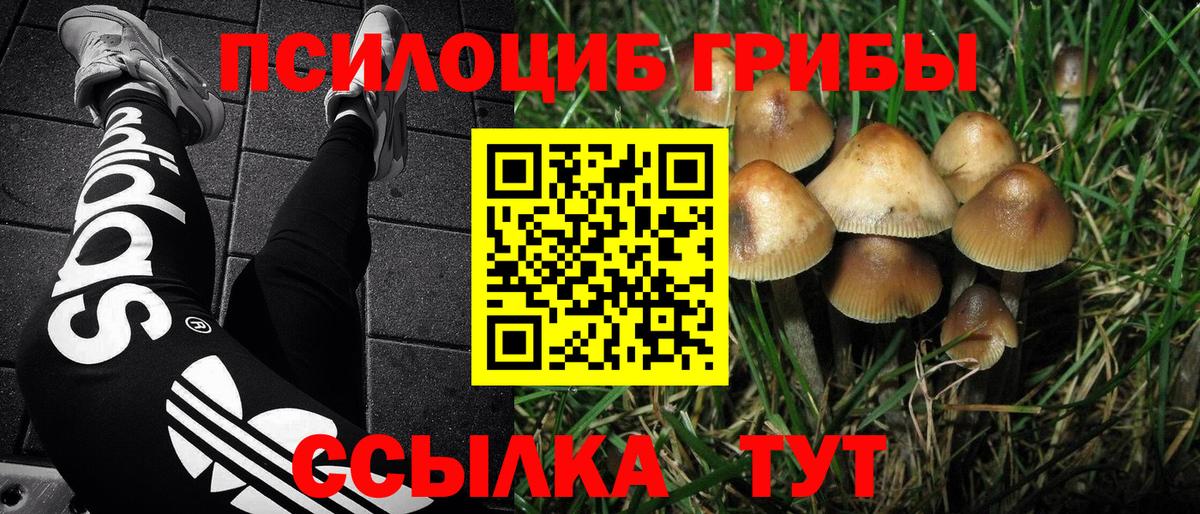 где продают   Вход с VPN  Каменск-Шахтинский  Галлюциногенные грибы Psilocybine cubensis 